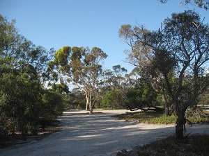 quaalup campground