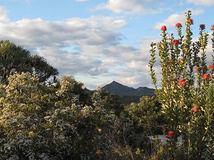 View on West Mount Barren
